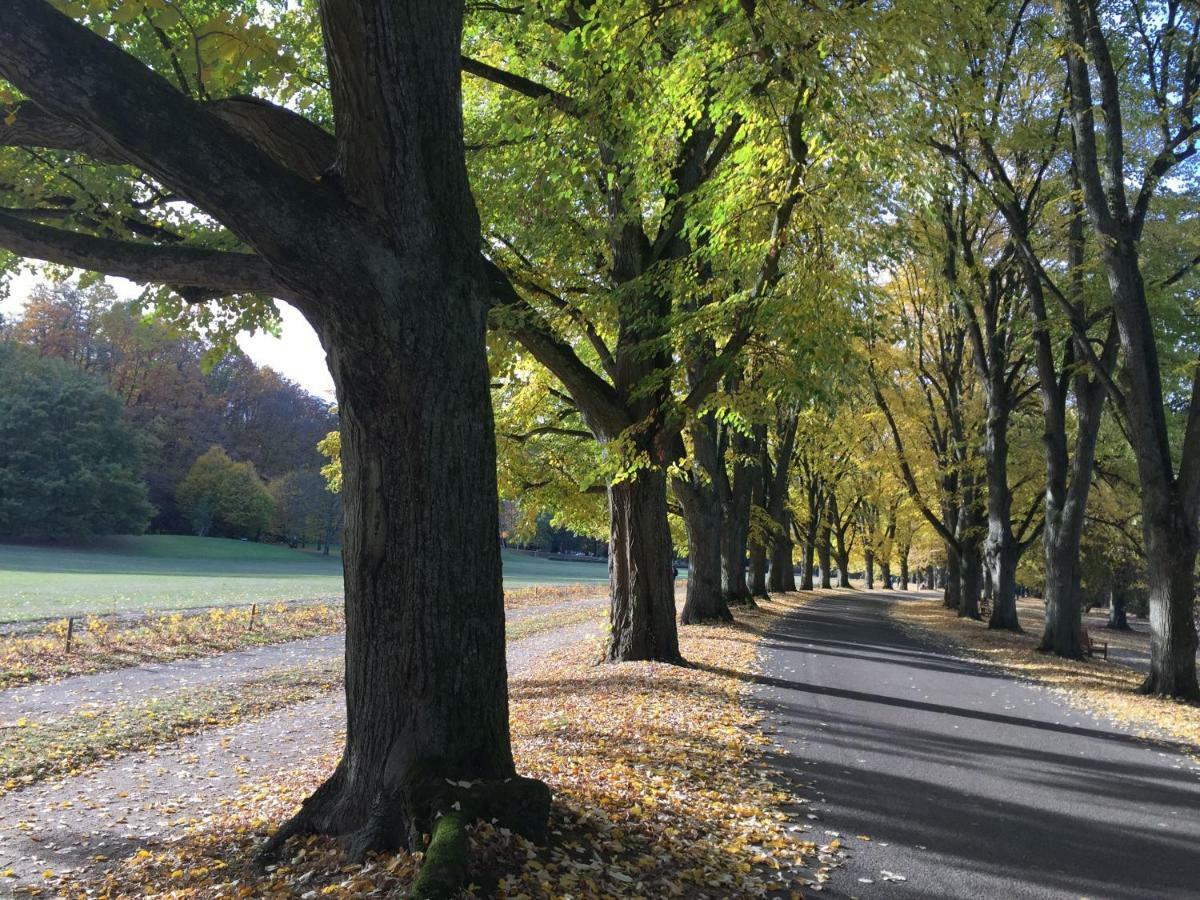 Suite Mit Blick Auf Die Lichtentaler Allee バーデン＝バーデン エクステリア 写真