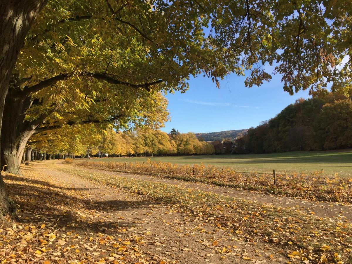 Suite Mit Blick Auf Die Lichtentaler Allee バーデン＝バーデン エクステリア 写真